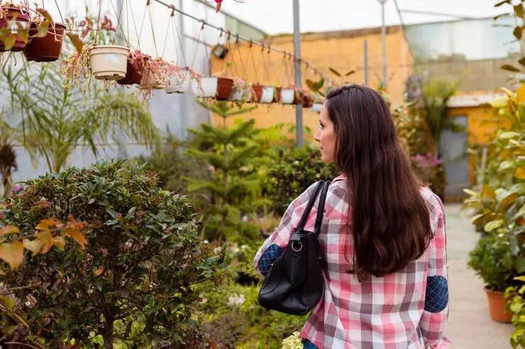Sustainable Garden Design Ideas Using Native Plants